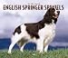 For The Love Of English Springer Spaniels 2005 Calendar