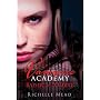 Vampire academy, tome 3 : baiser de l'ombre de Richelle Mead