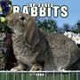 Lop-Eared Rabbits 2004 Calendar