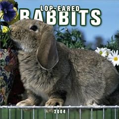 Lop-Eared Rabbits Wall Calendar: 2004