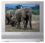 Sony MFM-HT95 19LCD Monitor with TV Tuner (Silver)