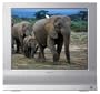 Sony MFM-HT95 19"LCD Monitor with TV Tuner (Silver)
