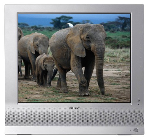 Sony MFM-HT95 19"LCD Monitor with TV Tuner (Silver)