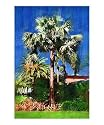 Bismarckia nobilis palm tree, Oil painting, Fairchild Tropical garden, Miami, Florida Giclee Poster Print by Palm Images, 8x10