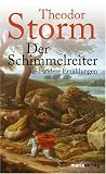 Der Schimmelreiter: und andere Novellen