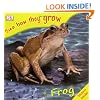 Frog (See How They Grow)