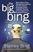  : The Big Bing : Black Holes of Time Management, Gaseous Executive Bodies, Exploding Careers, and Other Theories on the Origins of the Business Universe