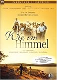 Wie im Himmel (Einzel-DVD)