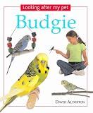 Looking After My Pet Budgie