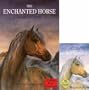 Enchanted Horse (Book & Tape)
