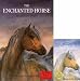 The Enchanted Horse (Book & Tape)