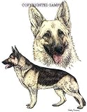 German Shepherd - Double Image by Cindy Farmer