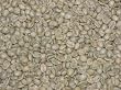 Kona Blend Green Coffee Beans - 5lbs