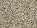 Kona Blend Green Coffee Beans - 5lbs