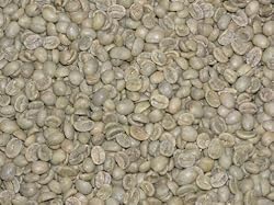 Kona Blend Green Coffee Beans - 5lbs