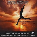 Barry Goldstein The Sound of Joy