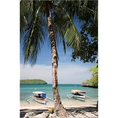 Poster 40 x 60 cm - "Strand von Governors Island" von Noboru Komine / Lonely Planet Images - auch in anderen Gr��en und als Leinwandbild erh�ltlich
