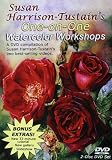 Susan Harrison-Tustain's One-on-One Watercolor Workshops