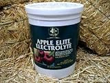 Apple Elite Electrolyte Supplement 5Lbs 