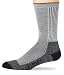 Apparel : Wigwam Men's Cool-Lite Hiker Pro Crew Length Sock