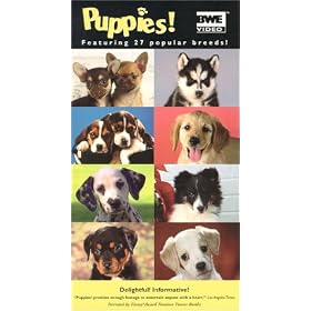 Puppies [VHS]