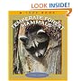 Temperate Forest Mammals (True Book)