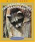 Temperate Forest Mammals (True Book)