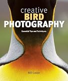 51VXaaijXyL. SL160  Creative Bird Photography: Essential Tips and Techniques