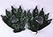 Fashion Warm Adorable Unisex Plush Fancy Party Kigurumi Pet Panda Bear Cat Cartoon Animal Paw Claw Hand Gloves Women Men (Green)