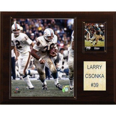 NFL Miami Dolphins Larry Csonka Player Plaque