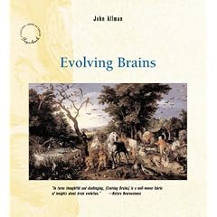 Evolving Brains (Scientific American Library Paperback)