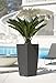 Lechuza 15242 Cubico Cottage 40 Self-Watering Garden Planter for Indoor and Outdoor Use, Granite Wicker 16