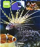 Acuario de agua salada (Vida Verde (tikal))