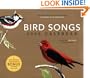 Bird Songs 2009 Wall Calendar