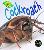 Cockroach