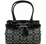 51VYASSBT6L. SL160  AUTHENTIC COACH HAMPTONS SIGNATURE CARRYALL 13065