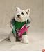 WATERMELON - SMALL - Reversible Puffy Dog Vest