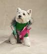WATERMELON - SMALL - Reversible Puffy Dog Vest