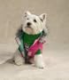 WATERMELON - SMALL - Reversible Puffy Dog Vest