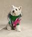 WATERMELON - SMALL - Reversible Puffy Dog Vest