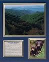 Smoky Mountains Famous Landmark Picture Plaque Unframed