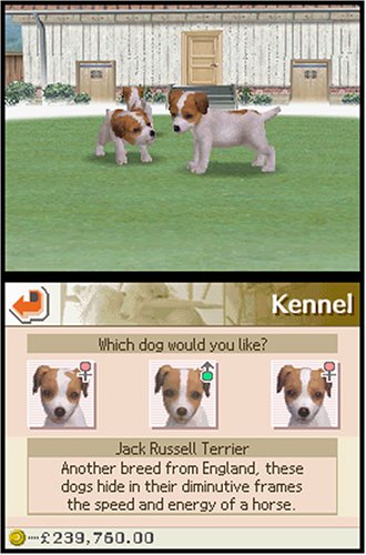 Nintendogs Dalmatian & Friends (Nintendo DS)