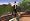 Tony Hawk's American Wasteland (Xbox)