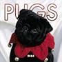 Pugs 2004 Mini Calendar