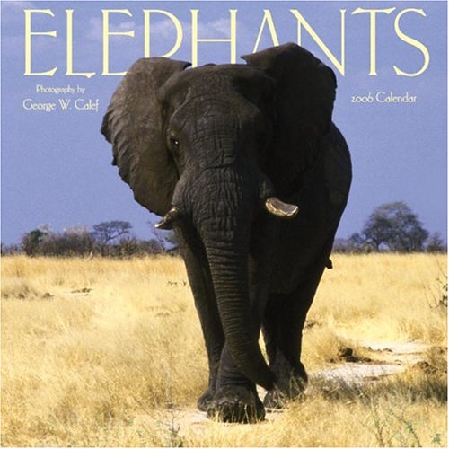 Elephants