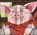 Precious Pig Piggy Scene Double Rocker Switchplate Light Switch Cover Accent Wall Decor Art Print Switchstix from IdeaStix by Pam Marker