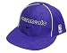 Sacramento Kings Pro Swoosh Flex 4 Sized Cap By Nike Team Sports