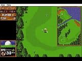 Eigenschaften Avalon  / Sensible Golf