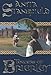 Towers of Brierley: A Novel