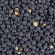 Beluga Lentils by ChefShop